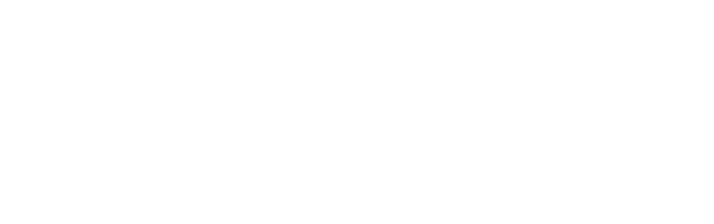 Logo White